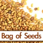 The Unwilling Missionary