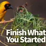 Laws of Loyalty 1 - Rev. Richard Aryee