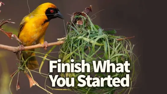 Finish What You Started