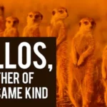 Elisha What Is Wrong With You