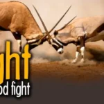 How to identify a human being who has demons