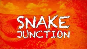 snake-junction-565x318