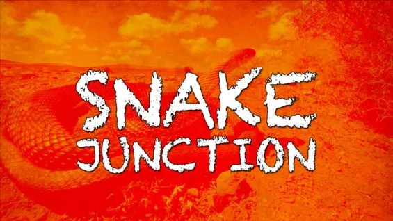 snake-junction-565x318