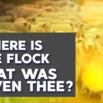 How a Spiritual Son Develops into a Shepherd